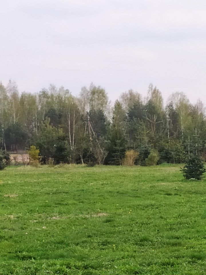 Działka budowlana Kamionka, ul. Leśna. Zdjęcie 5
