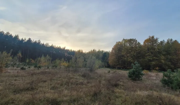 Działka rolno-budowlana Miłkowska Karczma