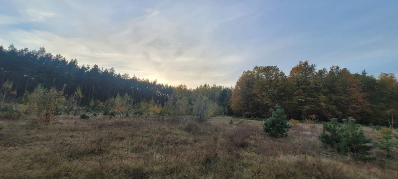 Działka inwestycyjna Miłkowska Karczma. Zdjęcie 4