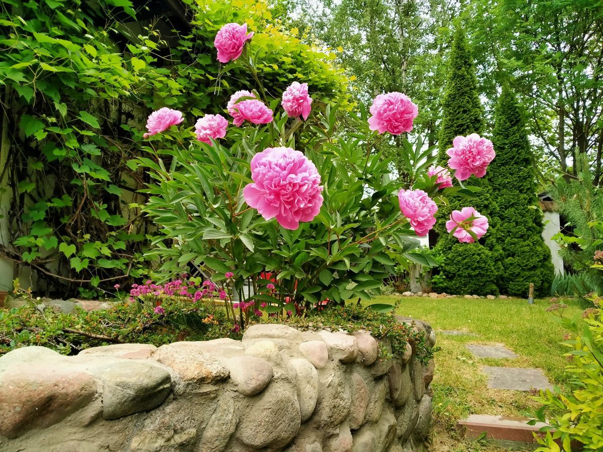 dom, 3 pokoje Łapalice, ul. Zamkowa. Zdjęcie 15