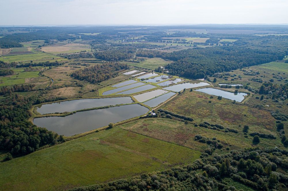 Działka siedliskowa Mierzyno. Zdjęcie 3