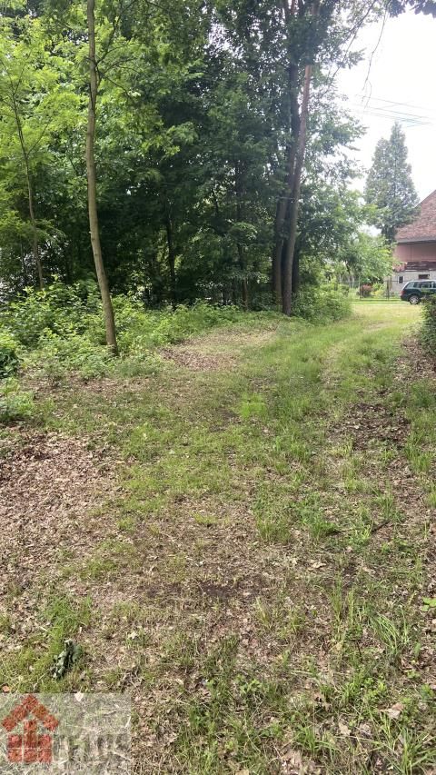 Działka rolno-budowlana Czernichów. Zdjęcie 4