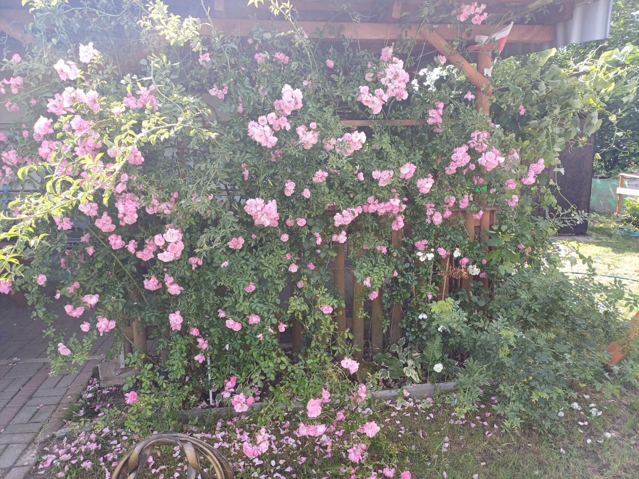 Działka rod Mrocza, ul. marsz. Józefa Piłsudskiego. Zdjęcie 6