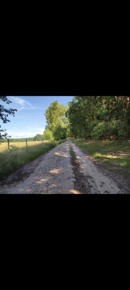 Działka budowlana Lepino. Zdjęcie 2