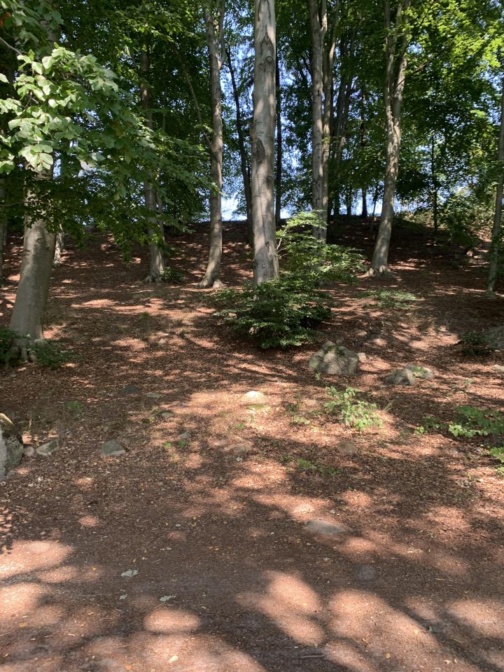 Działka budowlana Drawsko Pomorskie, ul. Polna. Zdjęcie 9