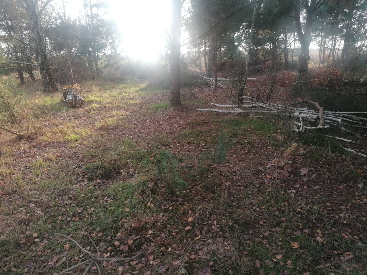 Działka rolna Kępina. Zdjęcie 13