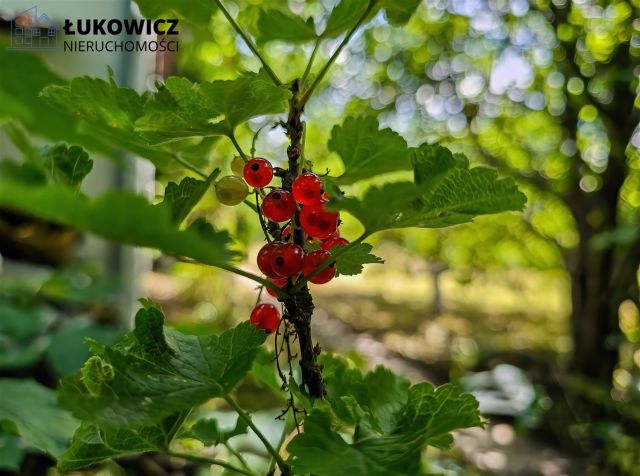 Działka rekreacyjna Bielsko-Biała Hałcnów. Zdjęcie 14