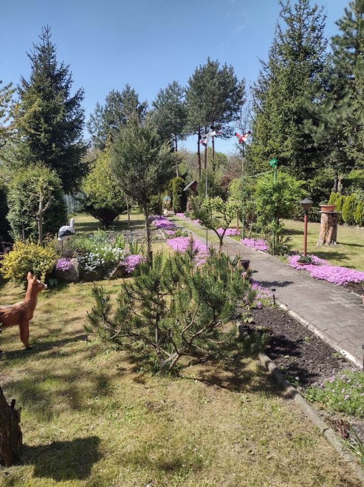 Działka rekreacyjna Chorzów Batory