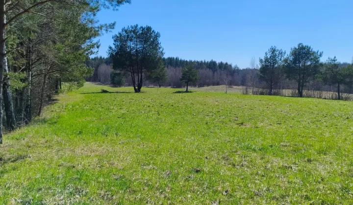 Działka rolna Wyrandy, Wyrandy 20A