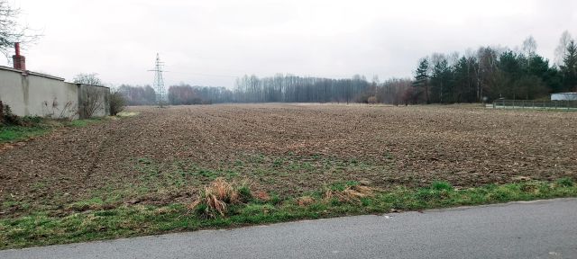 Działka budowlana Zdrowa, ul. Leśna. Zdjęcie 1