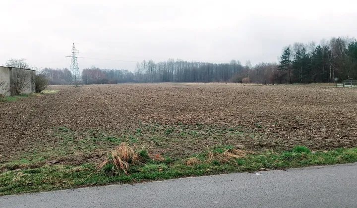 Działka rolno-budowlana Zdrowa, ul. Leśna