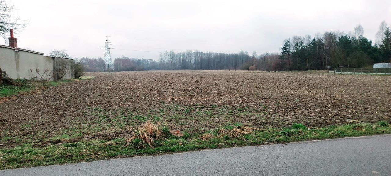 Działka budowlana Zdrowa, ul. Leśna. Zdjęcie 1