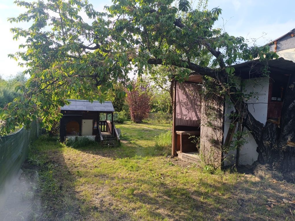 Działka rod Gorzów Wielkopolski, ul. Drozdowa. Zdjęcie 6