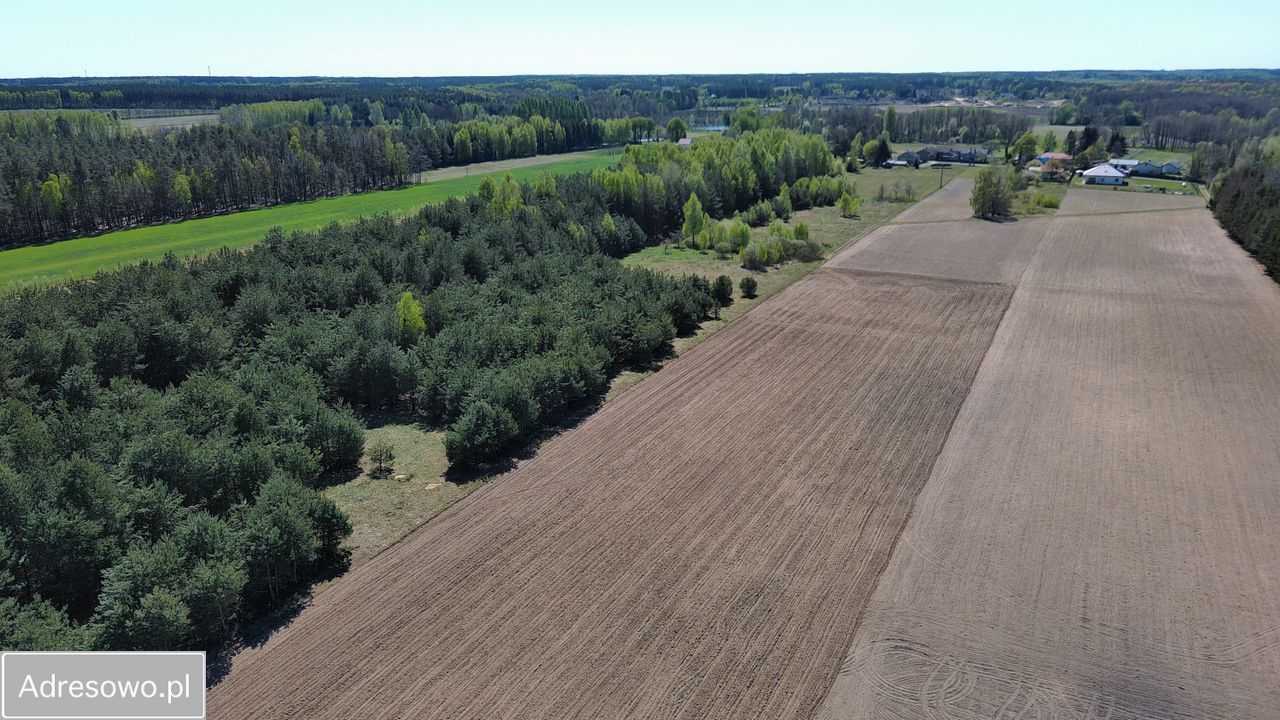 Działka inwestycyjna Dwórzno. Zdjęcie 2