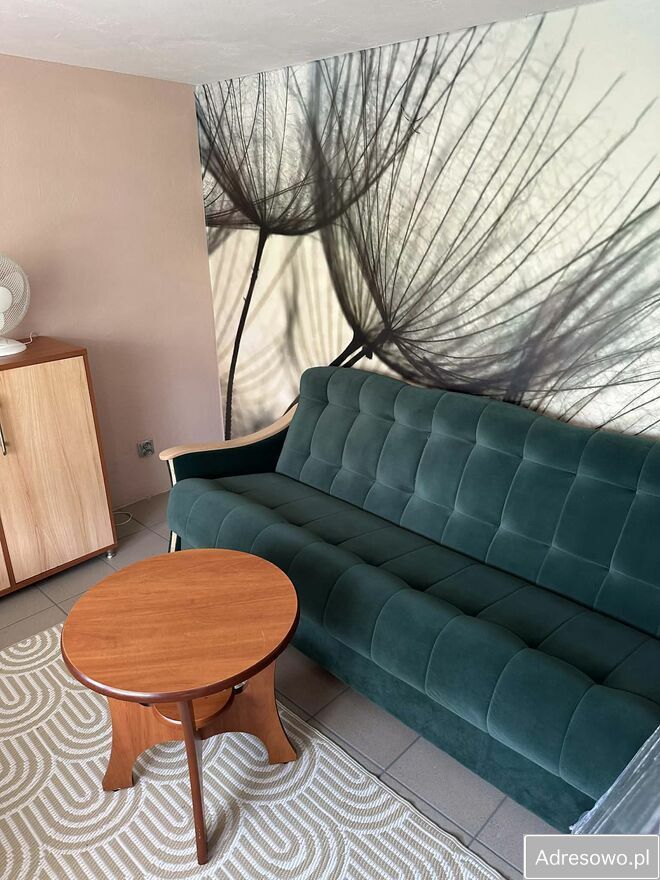 Działka rod Leszno. Zdjęcie 6