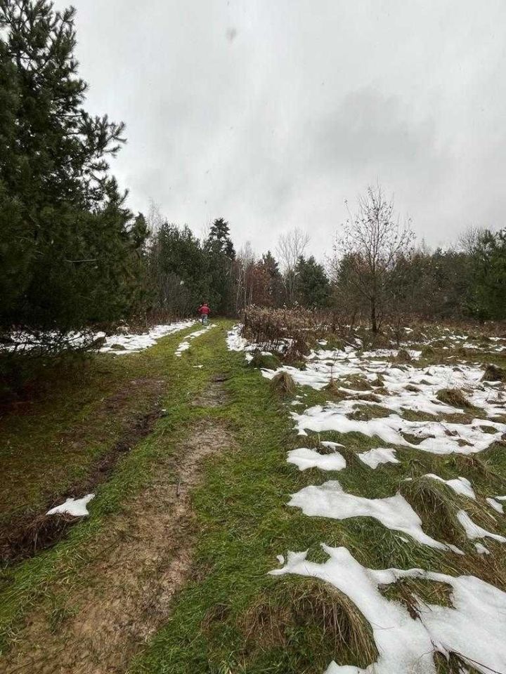 Działka budowlana Słona. Zdjęcie 4