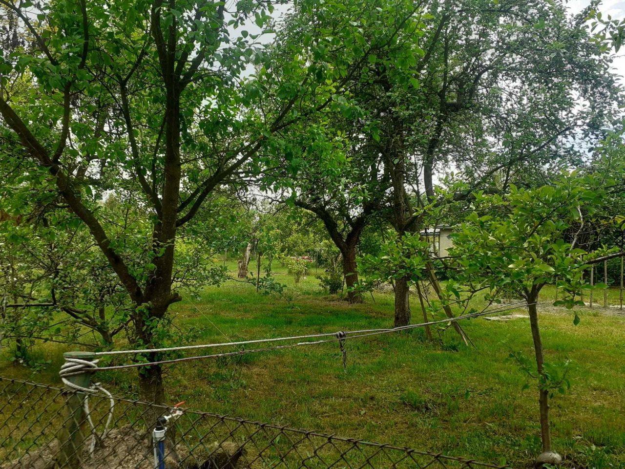 Działka rod Gliwice Stare Gliwice, ul. Kozielska. Zdjęcie 3