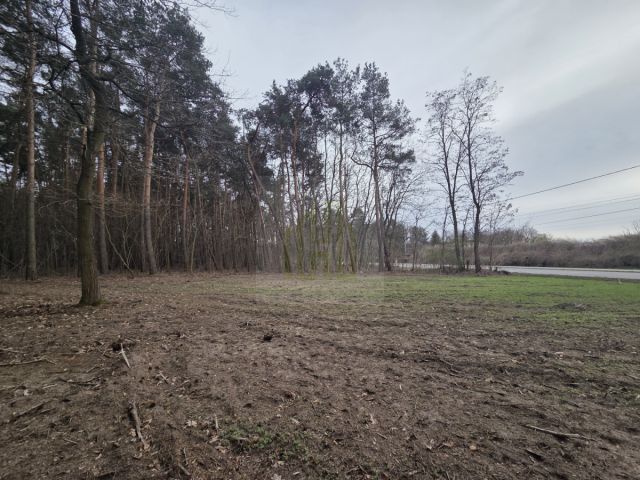 Działka budowlana Jaktorów. Zdjęcie 2