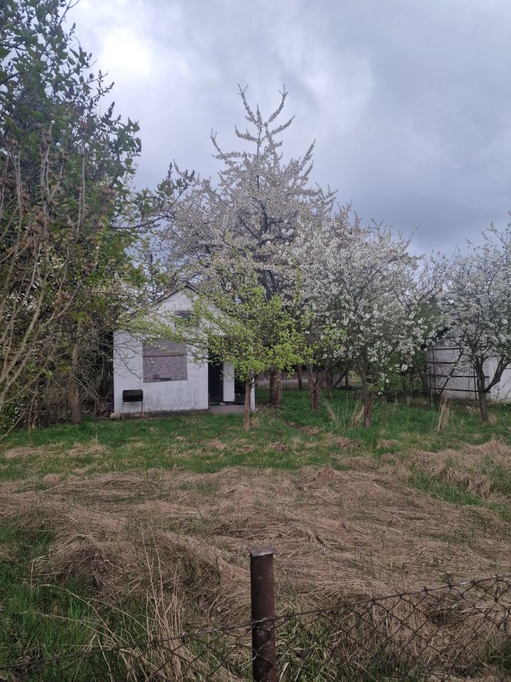 Działka rod Wrocław Partynice. Zdjęcie 3