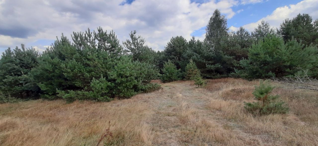 Działka rolna Przyjmy. Zdjęcie 6