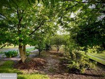 dom wolnostojący, 2 pokoje Wróble-Wargocin. Zdjęcie 2