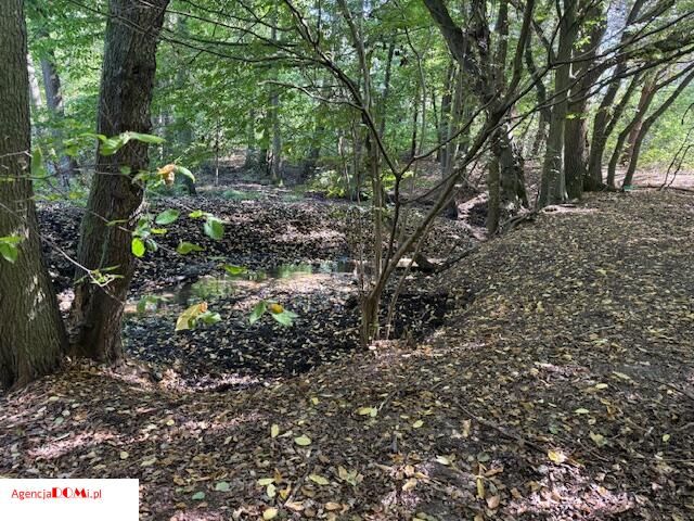 Działka budowlana Siestrzeń. Zdjęcie 8