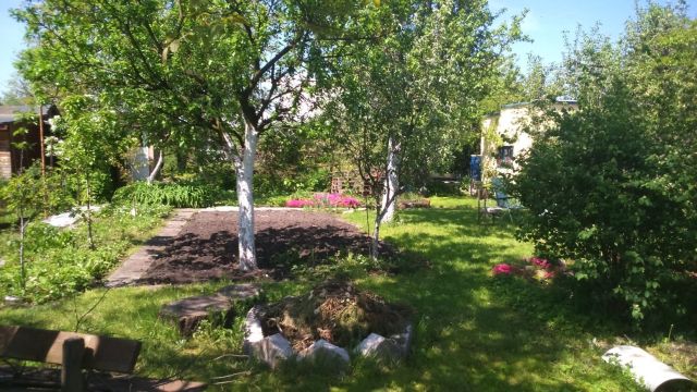 Działka rod Wrocław Stare Miasto. Zdjęcie 1