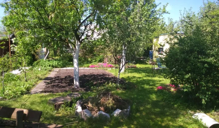 Działka rod Wrocław Stare Miasto