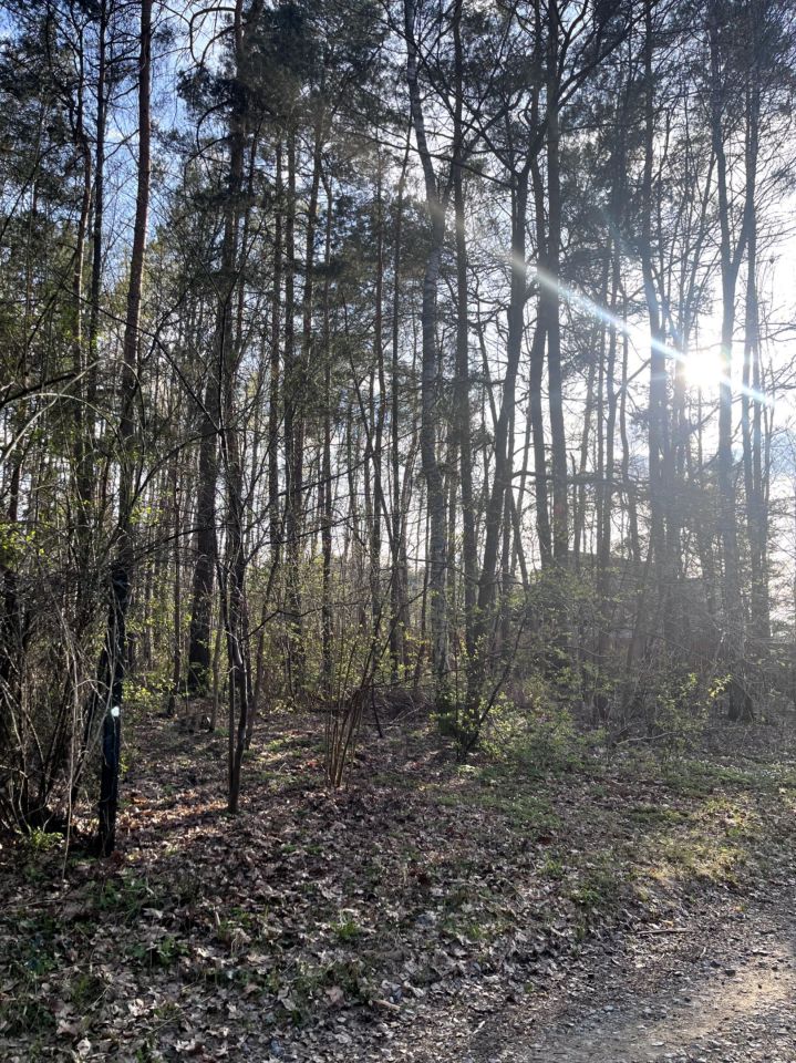 Działka budowlana Duchnów, ul. Różana. Zdjęcie 3