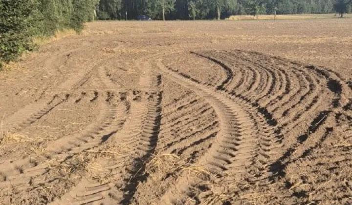 Działka budowlana Goździków