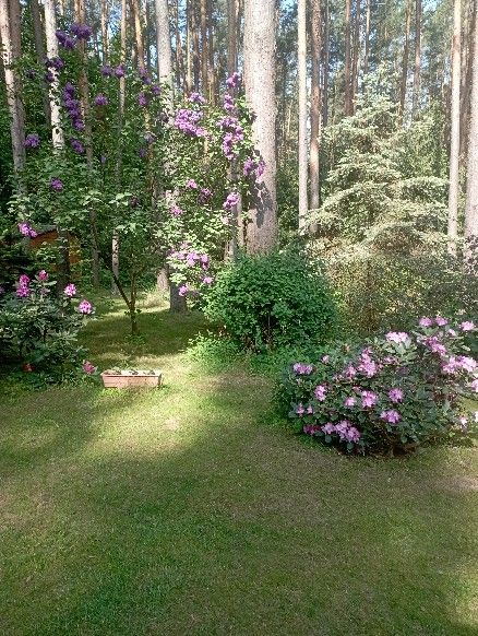 dom wolnostojący, 5 pokoi Adamów-Wieś, ul. Malinowa. Zdjęcie 16