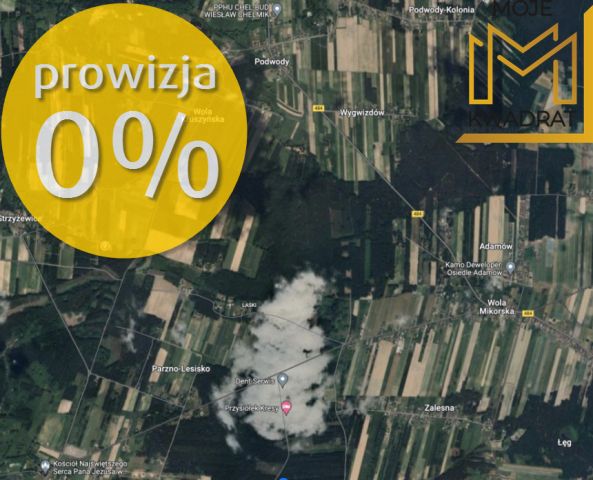 Działka rolna Strzyżewice. Zdjęcie 4