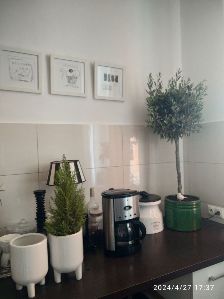 Mieszkanie 4-pokojowe Opole Stare Miasto, ul. ks. Hugona Kołłątaja. Zdjęcie 13