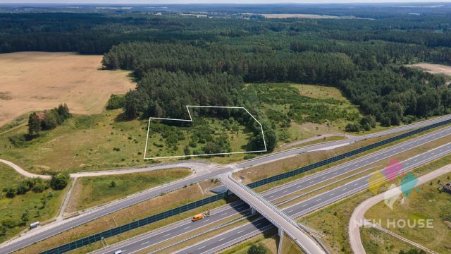 Działka Jemiołowo. Zdjęcie 10
