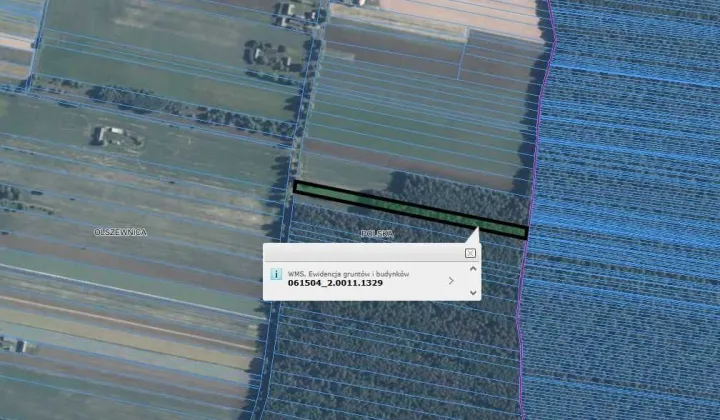 Działka leśna Olszewnica