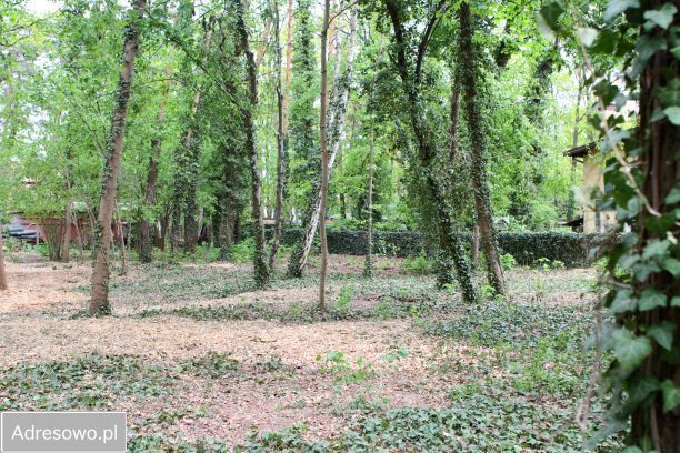 Działka budowlana Podkowa Leśna, ul. Wiewiórek. Zdjęcie 11