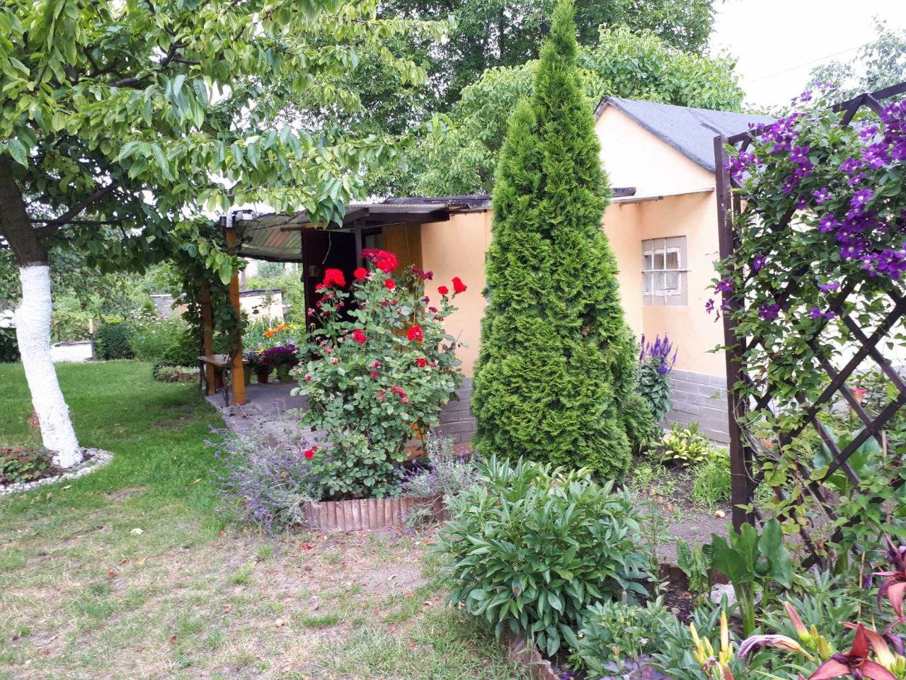 Działka rekreacyjna Wrocław Śródmieście, ul. Toruńska