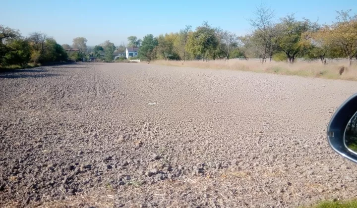 Działka rolno-budowlana Pławno, ul. Ogrodowa