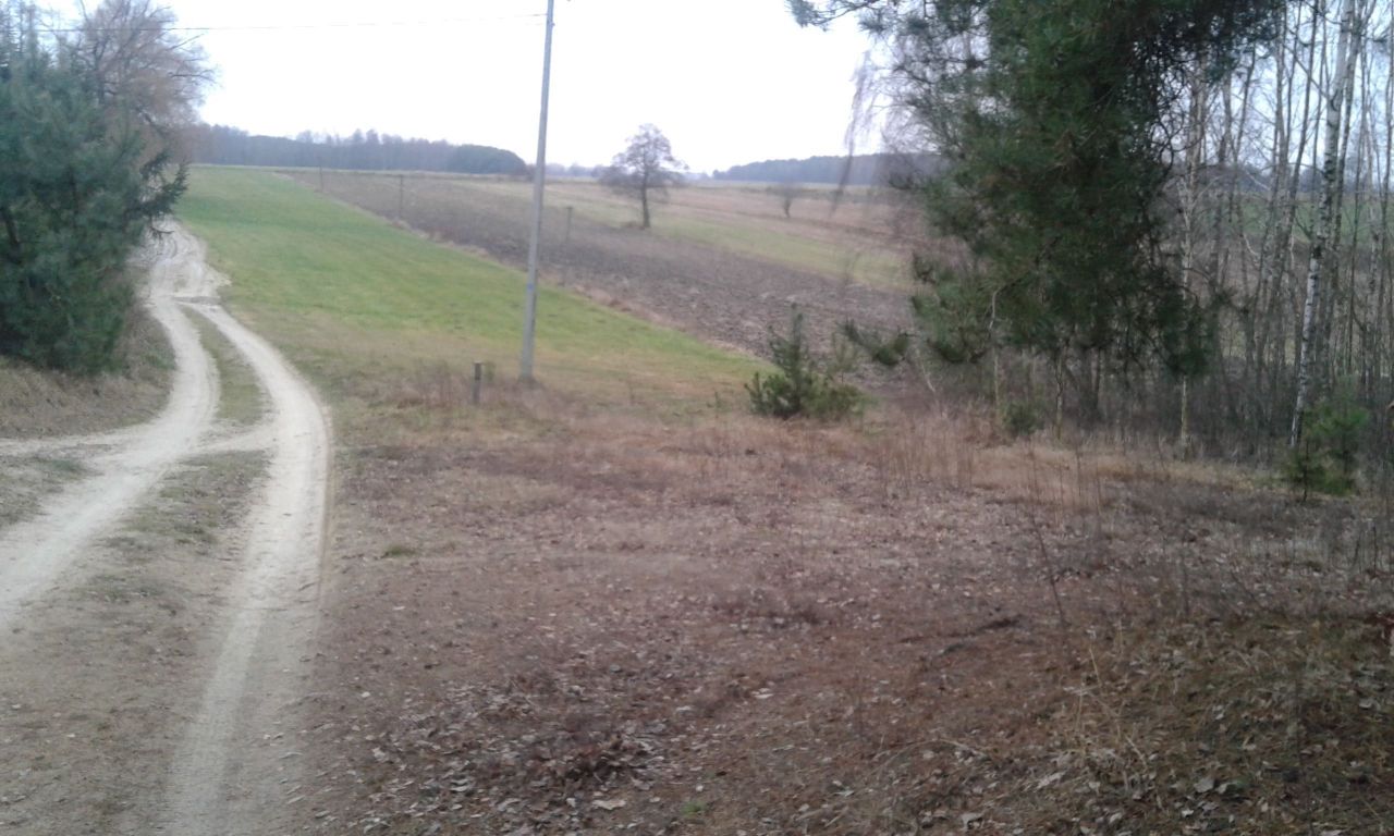 Działka rolno-budowlana Nowy Starogród. Zdjęcie 4