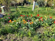 Działka rod Gorzów Wielkopolski. Zdjęcie 3