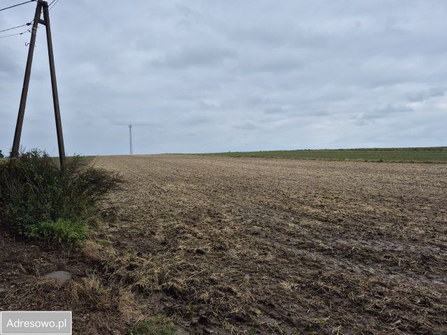 Działka rolno-budowlana Wysocice. Zdjęcie 1