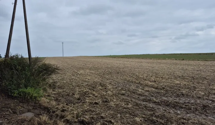 Działka rolno-budowlana Wysocice