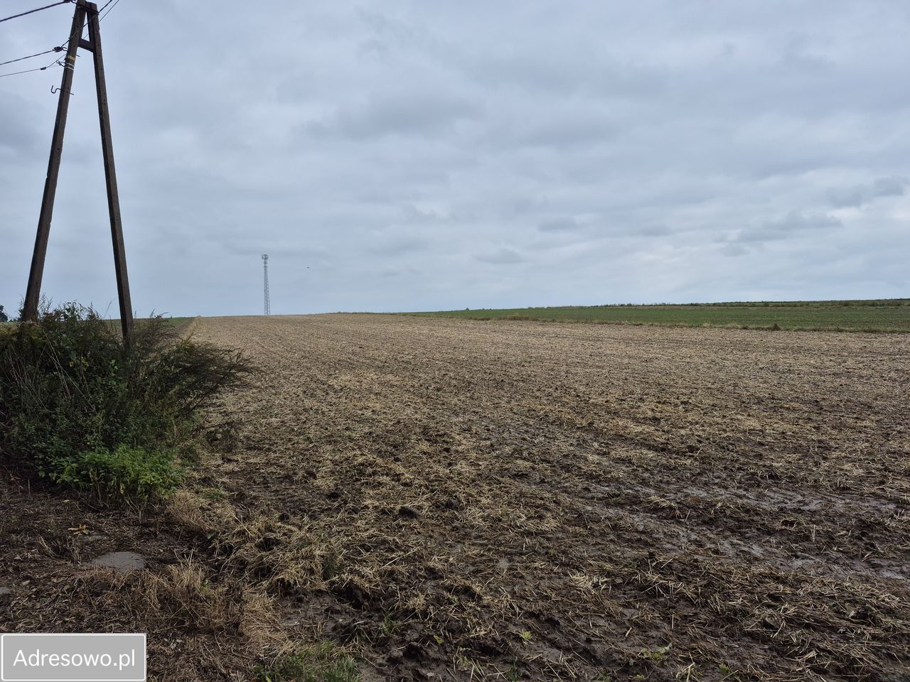 Działka rolno-budowlana Wysocice. Zdjęcie 1