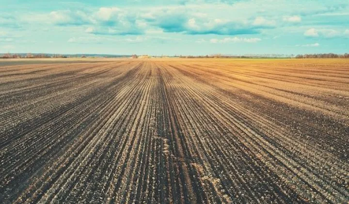 Działka rolna Kalników