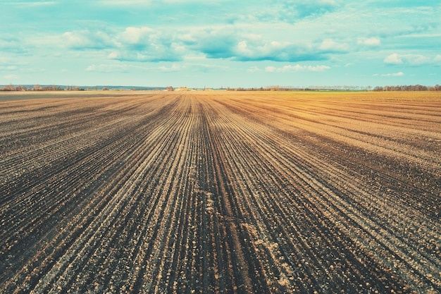 Działka rolna Kalników. Zdjęcie 1