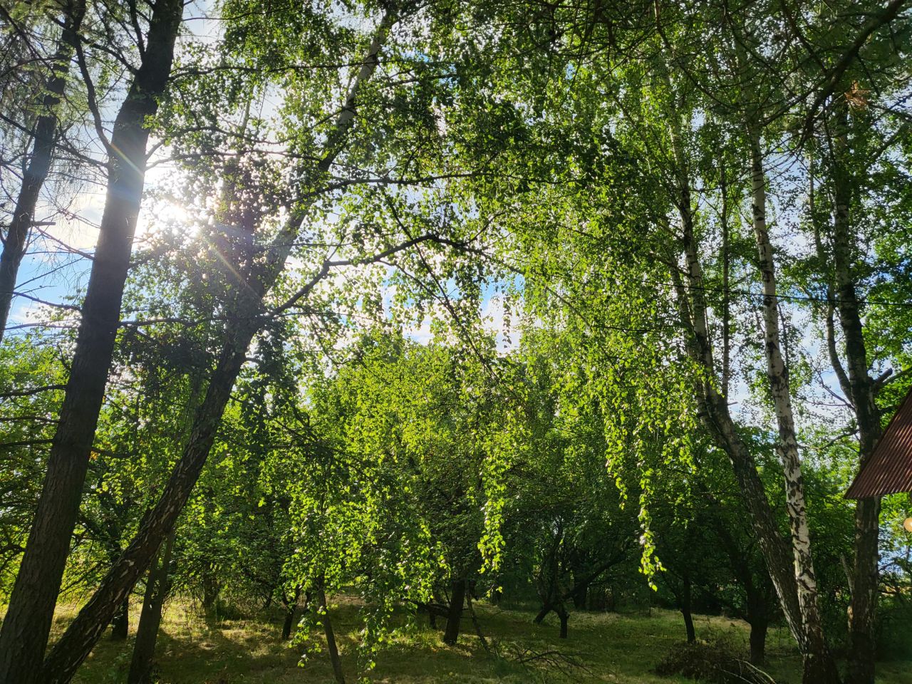 dom letniskowy, 2 pokoje Wójtowa. Zdjęcie 6