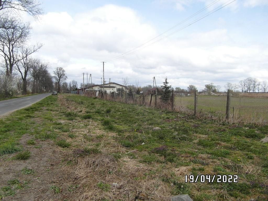 Działka rolno-budowlana Niedrzew Drugi. Zdjęcie 5