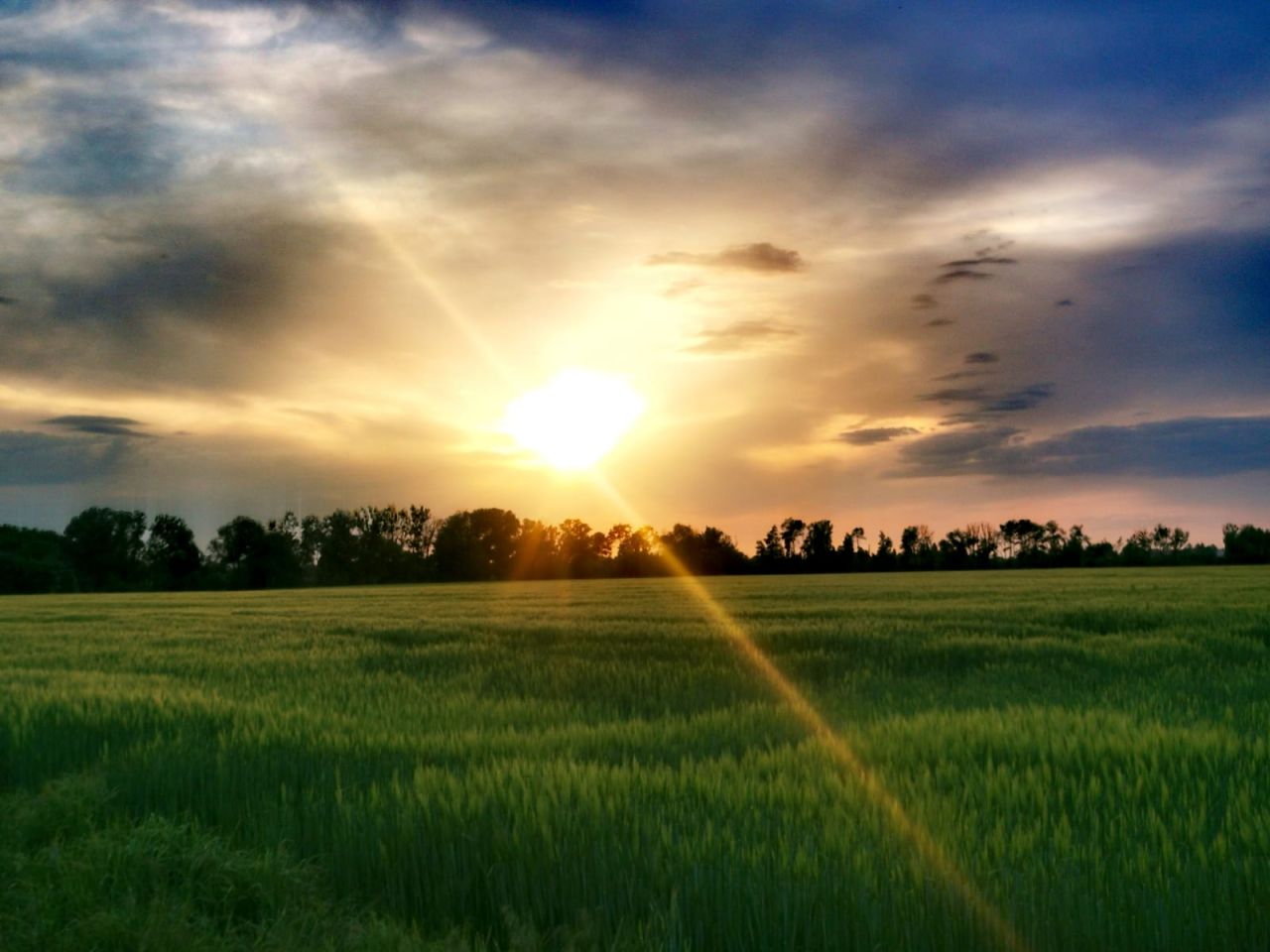 Działka budowlana Arciechów, ul. Jemiołuszki. Zdjęcie 13