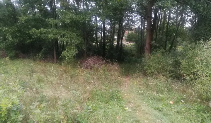 Działka inwestycyjna Siczki Siczki k. Młyna