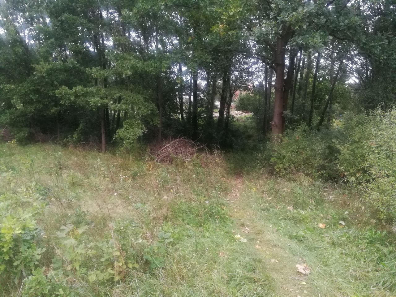 Działka inwestycyjna Siczki Siczki k. Młyna